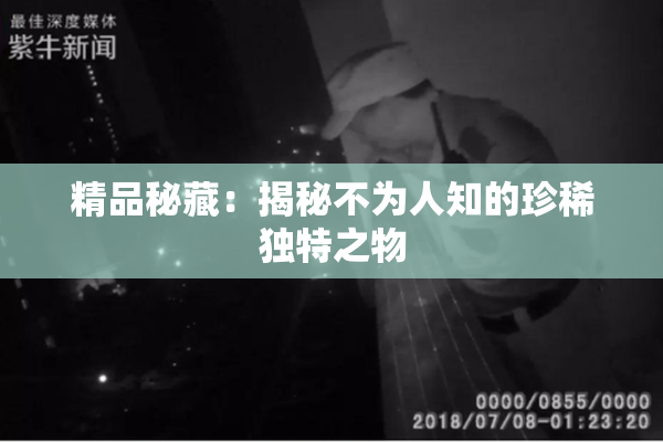 精品秘藏：揭秘不为人知的珍稀独特之物