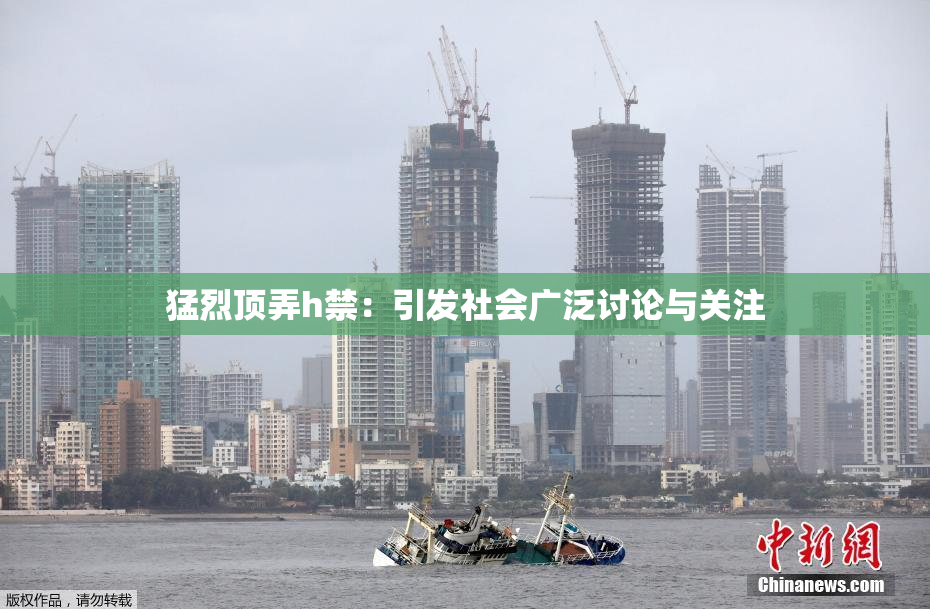 猛烈顶弄h禁：引发社会广泛讨论与关注