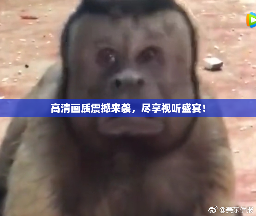 高清画质震撼来袭，尽享视听盛宴！