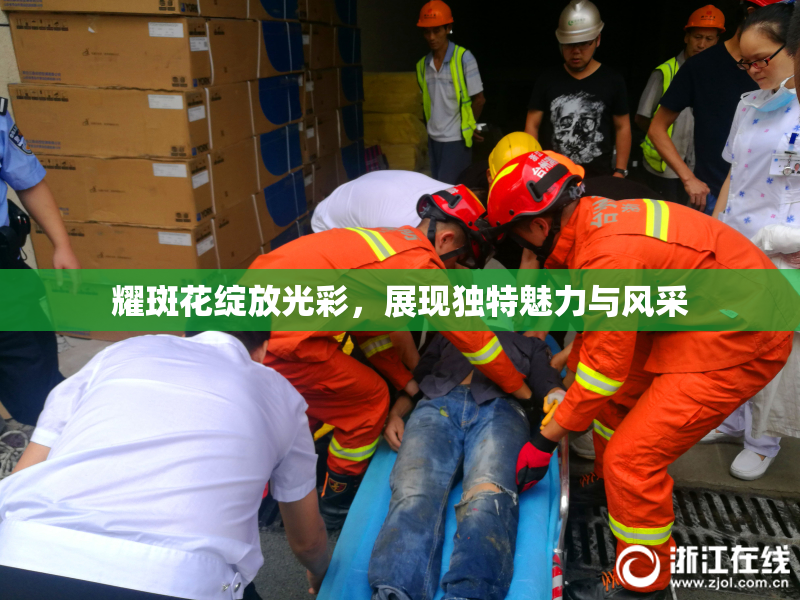 耀斑花绽放光彩，展现独特魅力与风采
