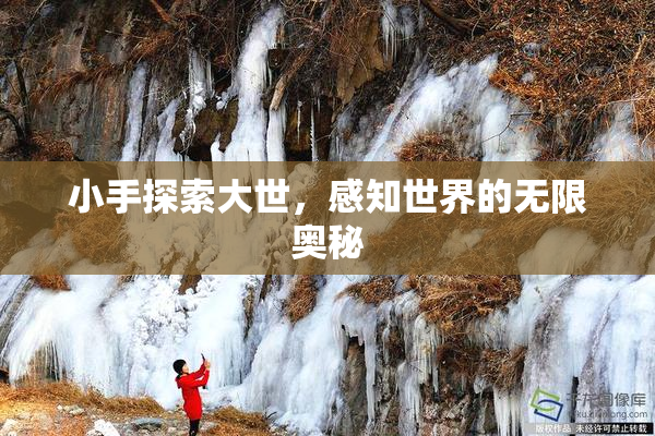 小手探索大世，感知世界的无限奥秘