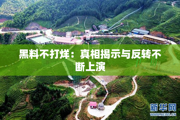 黑料不打烊：真相揭示与反转不断上演