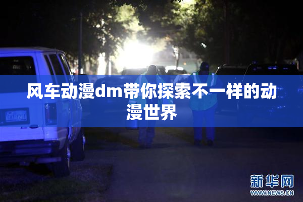 风车动漫dm带你探索不一样的动漫世界
