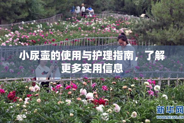 小尿壶的使用与护理指南，了解更多实用信息