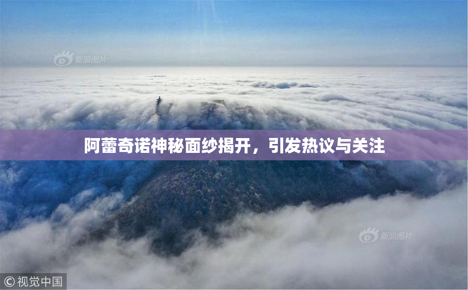 阿蕾奇诺神秘面纱揭开，引发热议与关注