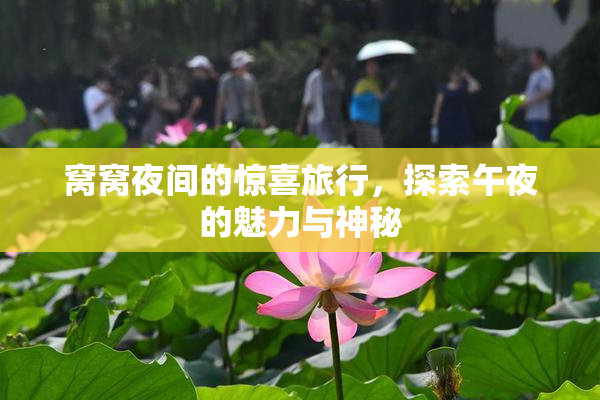 窝窝夜间的惊喜旅行，探索午夜的魅力与神秘