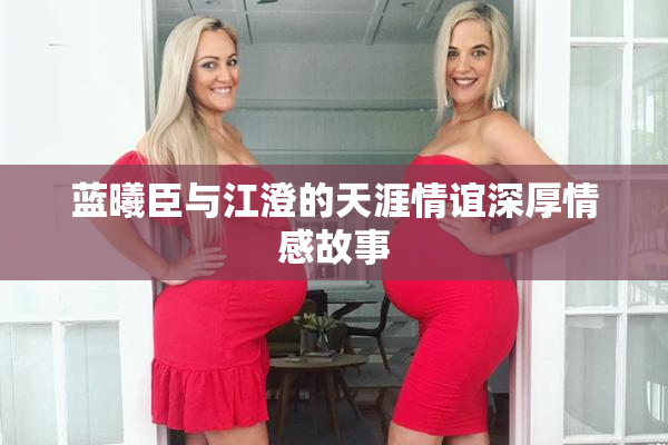蓝曦臣与江澄的天涯情谊深厚情感故事