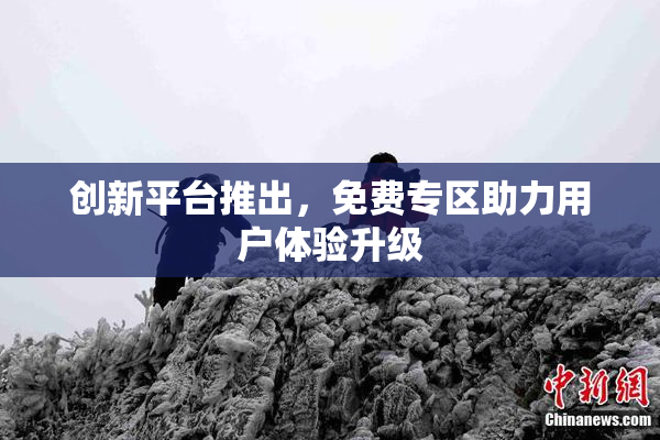创新平台推出，免费专区助力用户体验升级