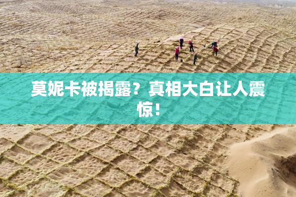 莫妮卡被揭露？真相大白让人震惊！