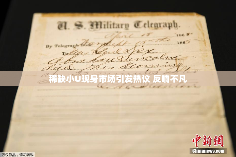 稀缺小U现身市场引发热议 反响不凡