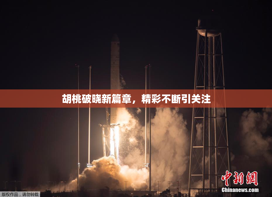 胡桃破晓新篇章，精彩不断引关注