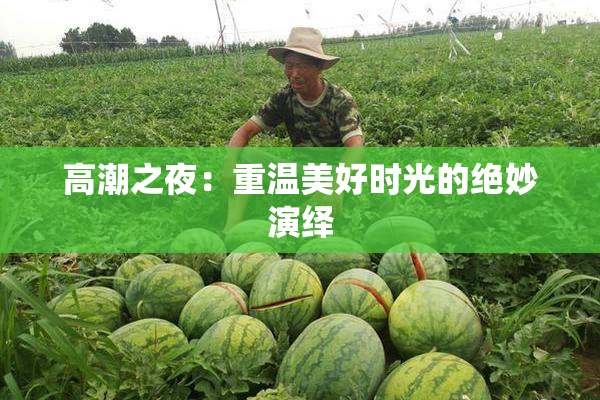 高潮之夜：重温美好时光的绝妙演绎