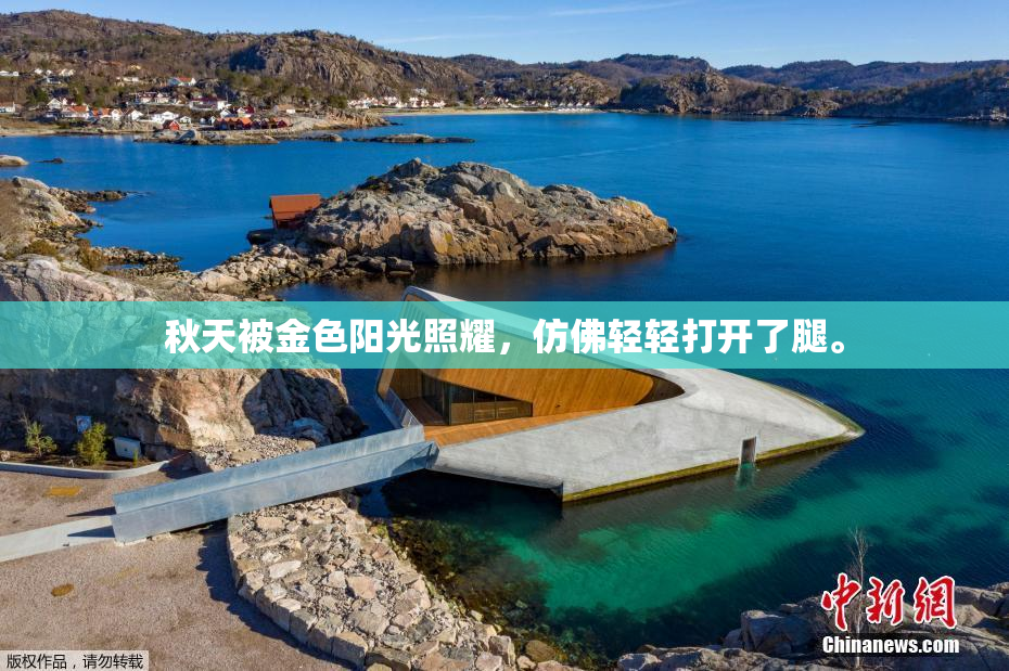 秋天被金色阳光照耀，仿佛轻轻打开了腿。