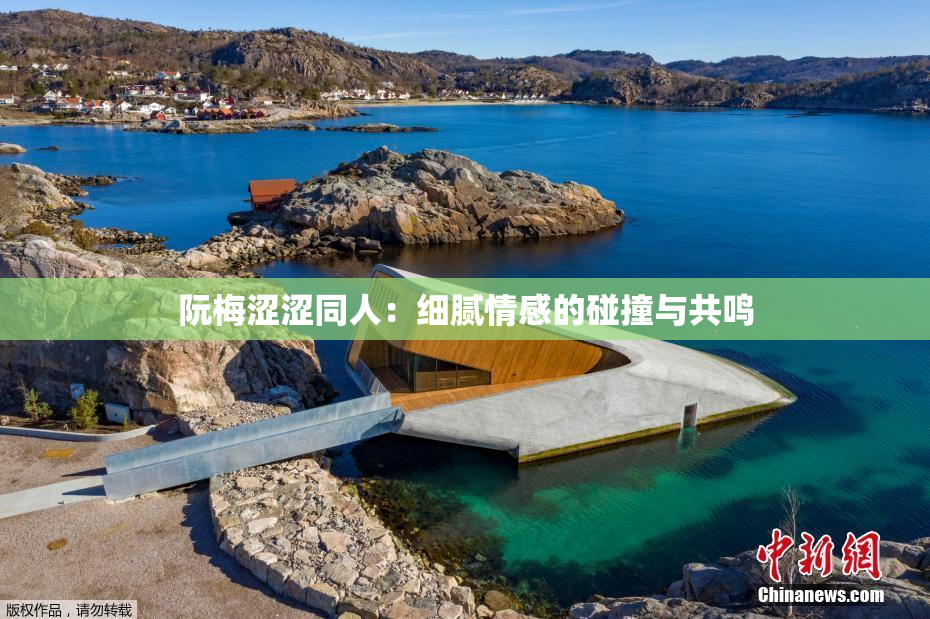 阮梅涩涩同人：细腻情感的碰撞与共鸣