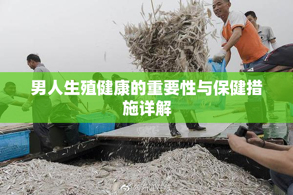男人生殖健康的重要性与保健措施详解