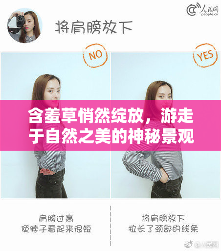 含羞草悄然绽放，游走于自然之美的神秘景观