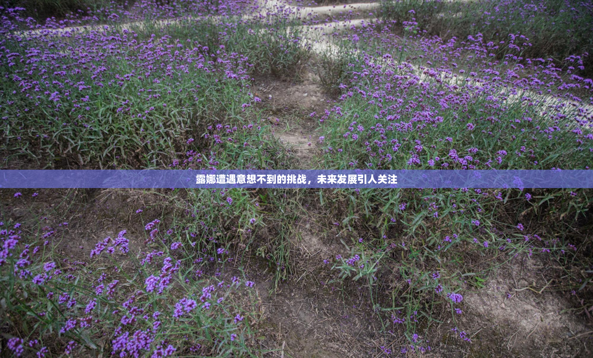 露娜遭遇意想不到的挑战，未来发展引人关注