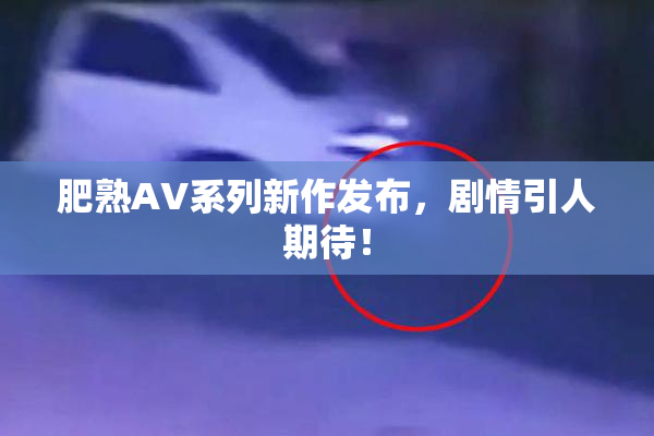 肥熟AV系列新作发布，剧情引人期待！