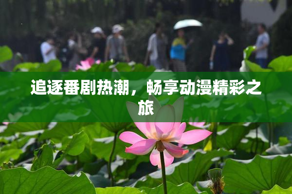 追逐番剧热潮，畅享动漫精彩之旅