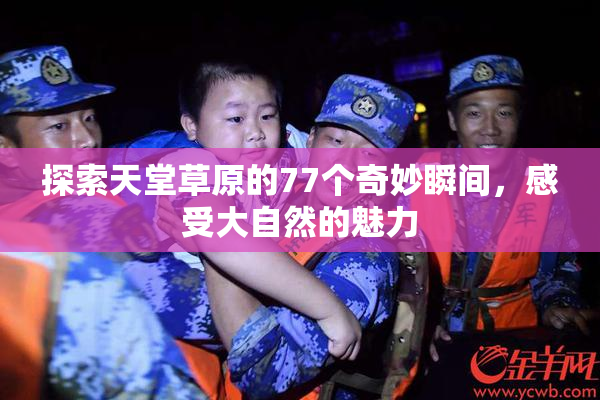 探索天堂草原的77个奇妙瞬间，感受大自然的魅力