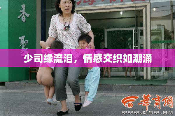 少司缘流泪，情感交织如潮涌