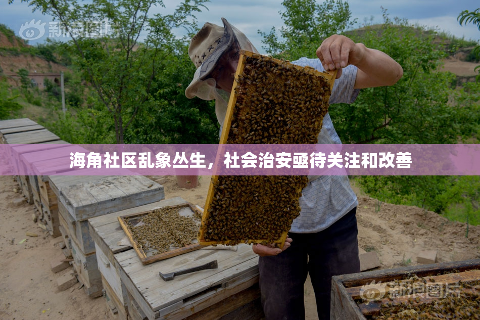 海角社区乱象丛生，社会治安亟待关注和改善
