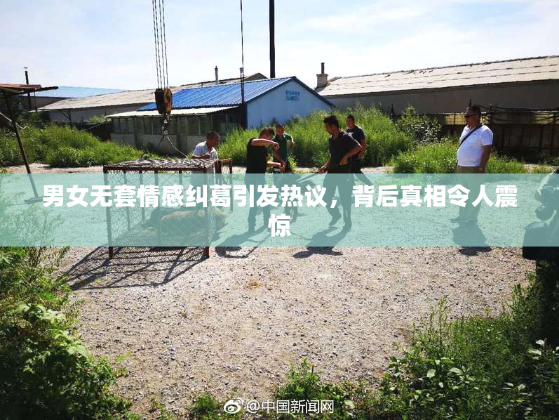 男女无套情感纠葛引发热议，背后真相令人震惊