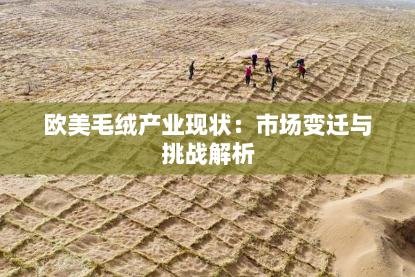 欧美毛绒产业现状：市场变迁与挑战解析