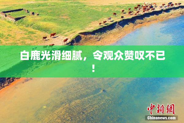 白鹿光滑细腻，令观众赞叹不已！