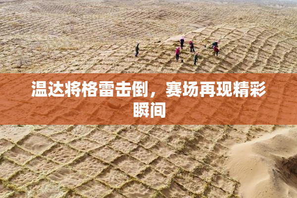 温达将格雷击倒，赛场再现精彩瞬间