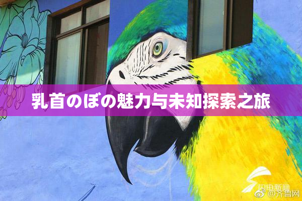乳首のぼの魅力与未知探索之旅