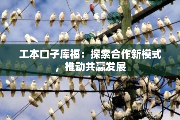 工本口子库福：探索合作新模式，推动共赢发展