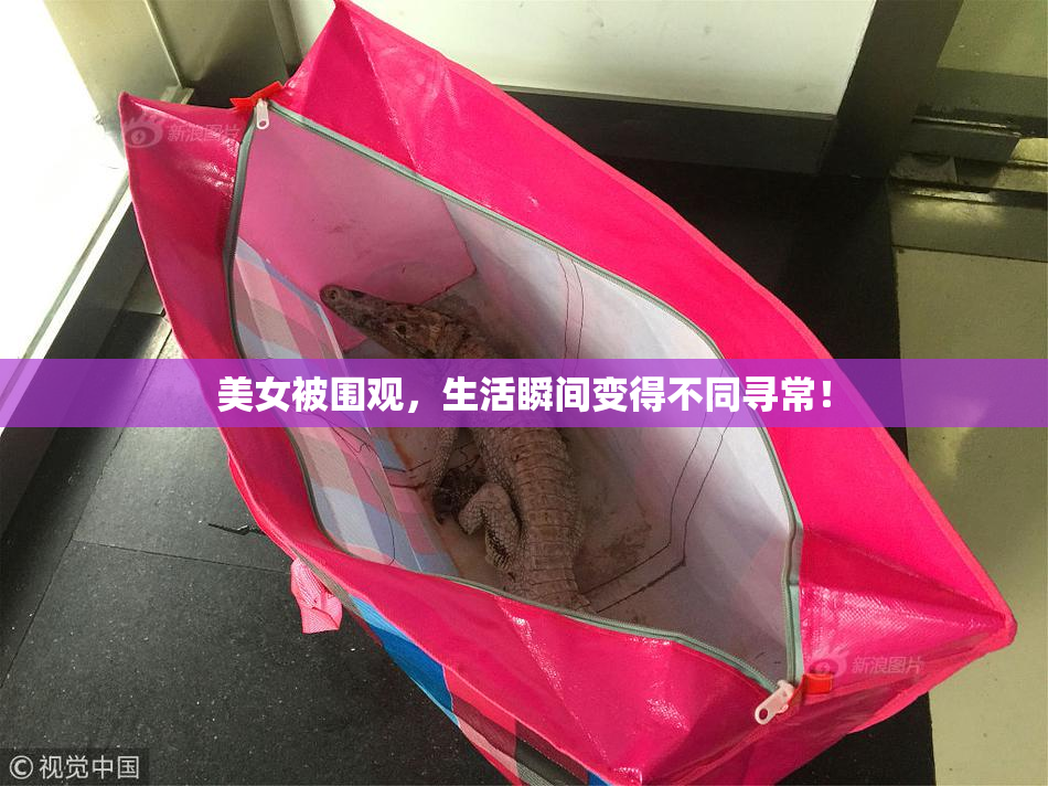 美女被围观，生活瞬间变得不同寻常！