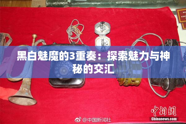 黑白魅魔的3重奏：探索魅力与神秘的交汇