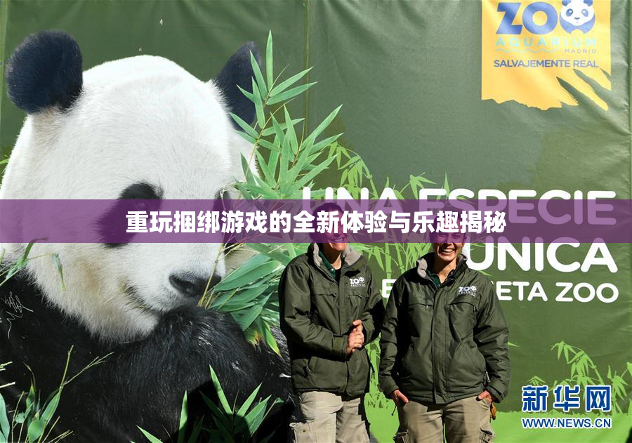 重玩捆绑游戏的全新体验与乐趣揭秘