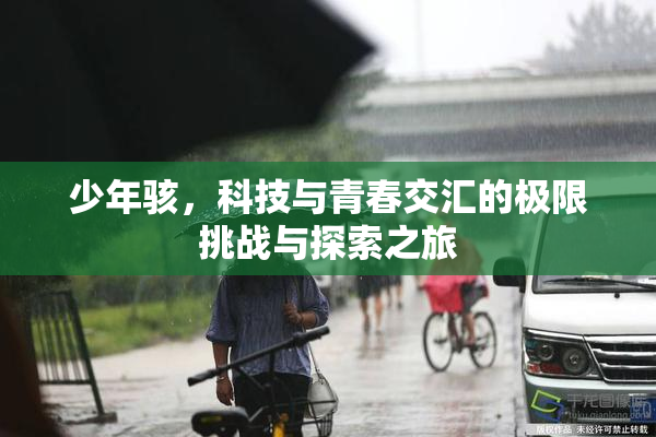 少年骇，科技与青春交汇的极限挑战与探索之旅