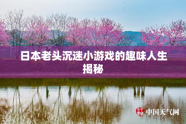 日本老头沉迷小游戏的趣味人生揭秘