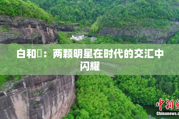 白和晄：两颗明星在时代的交汇中闪耀