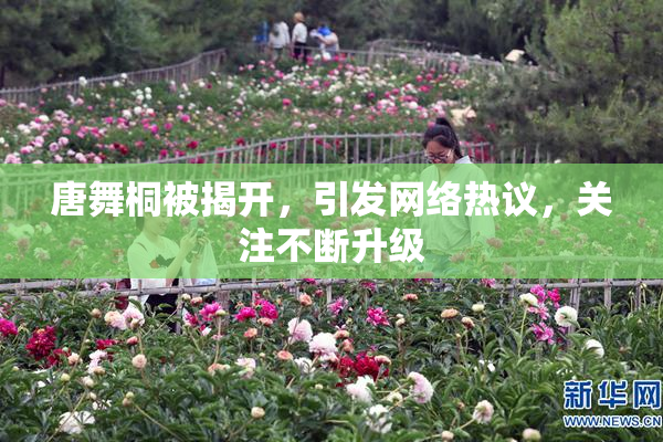 唐舞桐被揭开，引发网络热议，关注不断升级