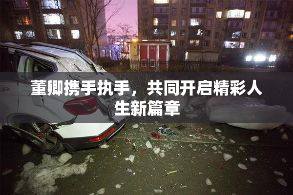 董卿携手执手，共同开启精彩人生新篇章