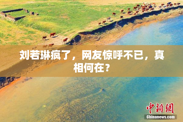 刘若琳疯了，网友惊呼不已，真相何在？