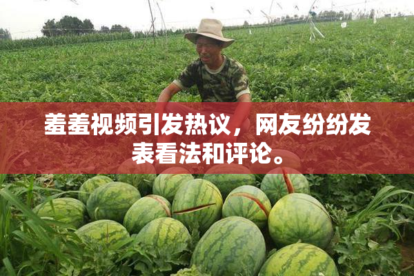 羞羞视频引发热议，网友纷纷发表看法和评论。