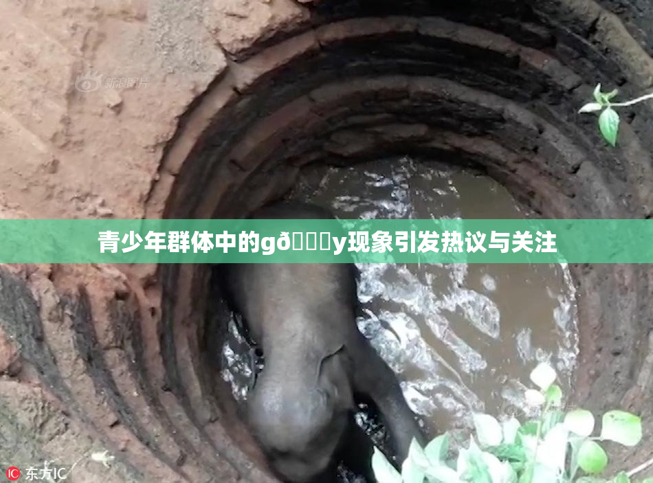 青少年群体中的g🈚y现象引发热议与关注