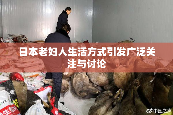 日本老妇人生活方式引发广泛关注与讨论