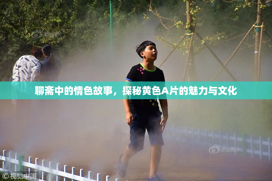 聊斋中的情色故事，探秘黄色A片的魅力与文化