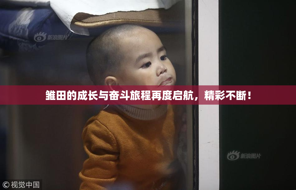 雏田的成长与奋斗旅程再度启航，精彩不断！