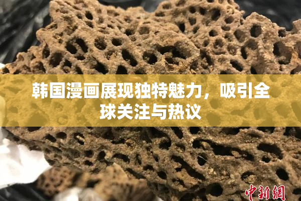 韩国漫画展现独特魅力，吸引全球关注与热议