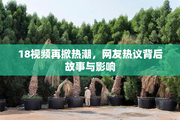 18视频再掀热潮，网友热议背后故事与影响