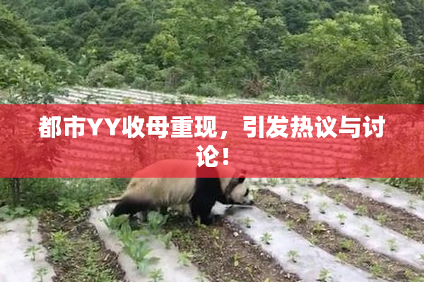 都市YY收母重现，引发热议与讨论！