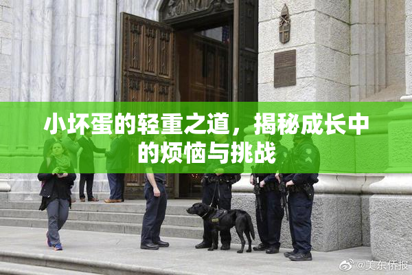 小坏蛋的轻重之道，揭秘成长中的烦恼与挑战